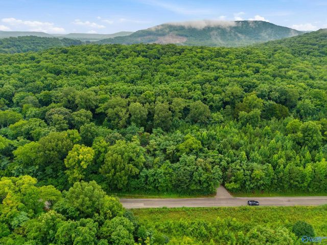 773 Mccutcheon Loop Road, Laceys Spring, AL 35754
