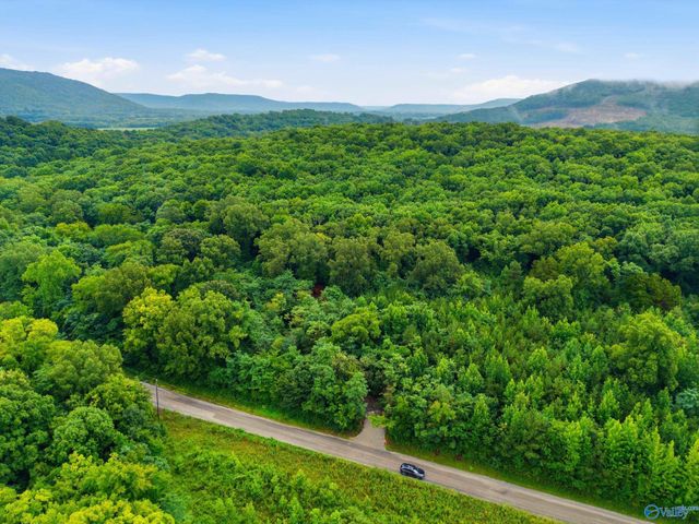773 Mccutcheon Loop Road, Laceys Spring, AL 35754