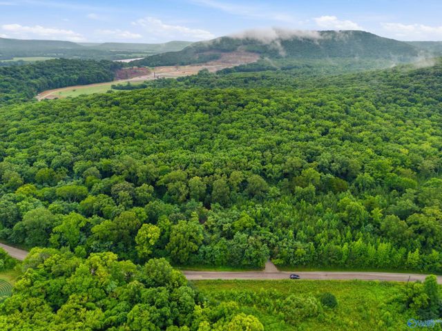 773 Mccutcheon Loop Road, Laceys Spring, AL 35754