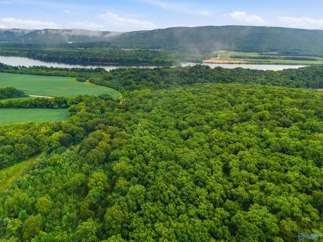 773 Mccutcheon Loop Road, Laceys Spring, AL 35754