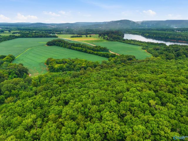 773 Mccutcheon Loop Road, Laceys Spring, AL 35754