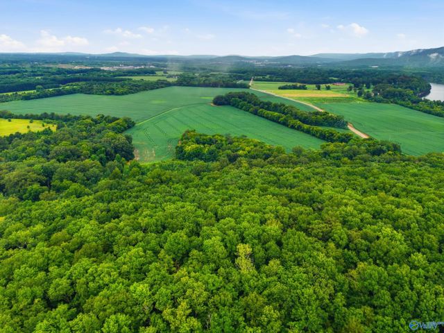 773 Mccutcheon Loop Road, Laceys Spring, AL 35754