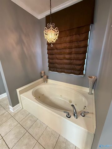 1030 Roseland Lane, Southside, AL 35907