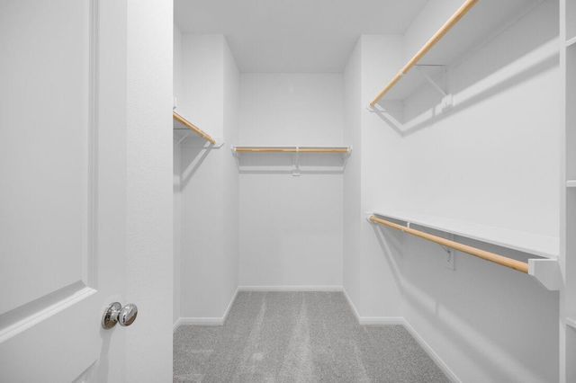 26823 Celestial Cypress Road, Hockley, TX 77447