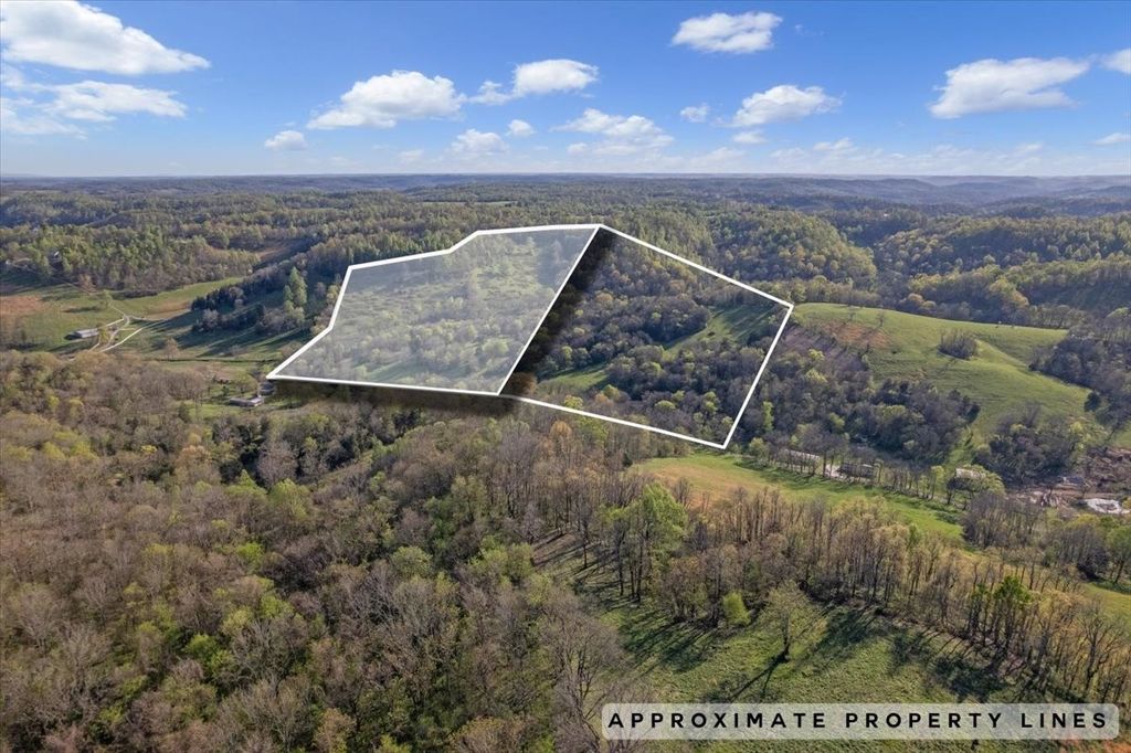 1624 Bartlett Hollow Rd, Petersburg, TN 37144