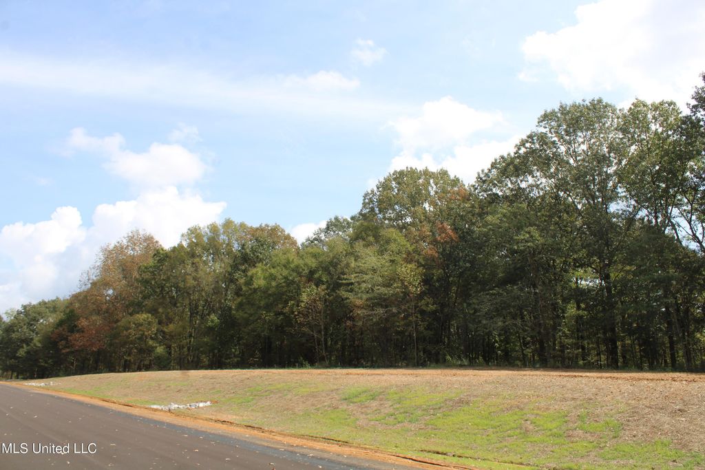 5077 Old Barn Cove, Hernando, MS 38632 — exterior