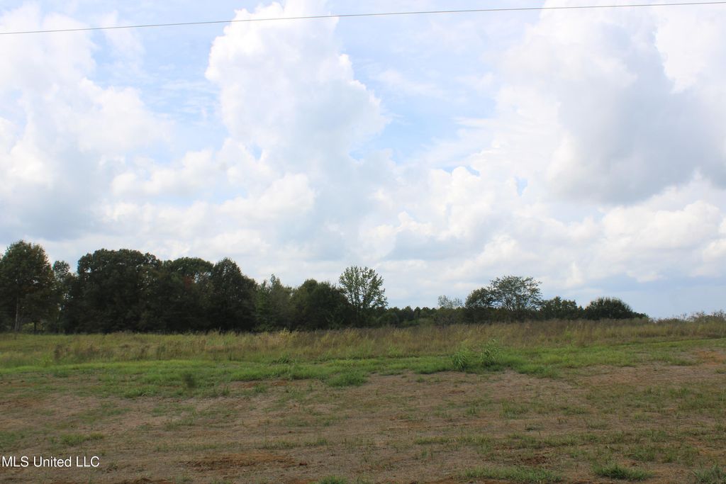 5077 Old Barn Cove, Hernando, MS 38632 — photo 3