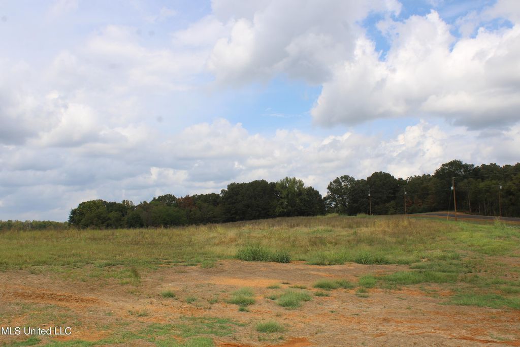 5077 Old Barn Cove, Hernando, MS 38632 — photo 4