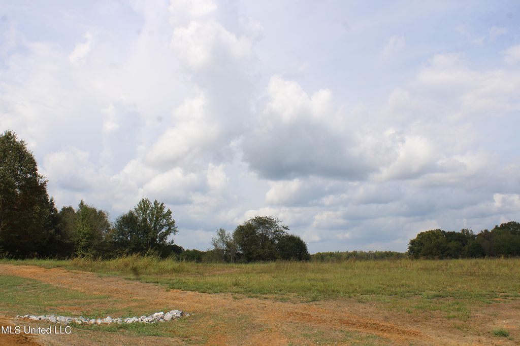 5077 Old Barn Cove, Hernando, MS 38632 — photo 5