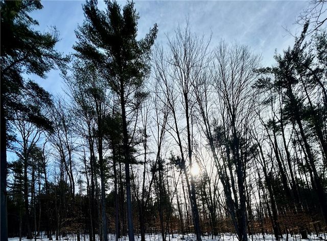 121 Woodview Lane, Morris, NY 13808