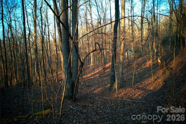 0 Langwood Drive 23, Zirconia, NC 28790