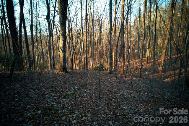 0 Langwood Drive 23, Zirconia, NC 28790