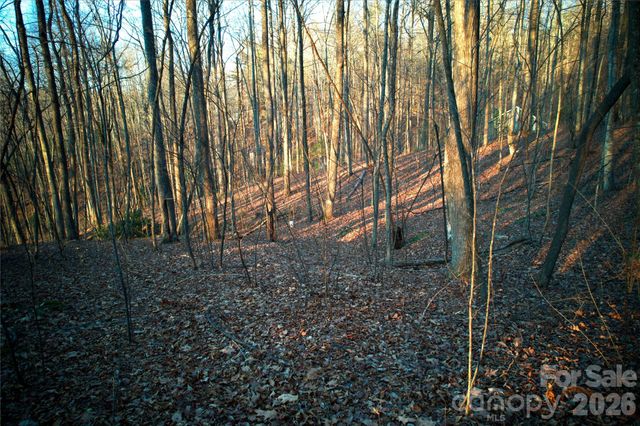 0 Langwood Drive 23, Zirconia, NC 28790