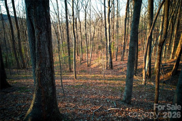 0 Langwood Drive 23, Zirconia, NC 28790