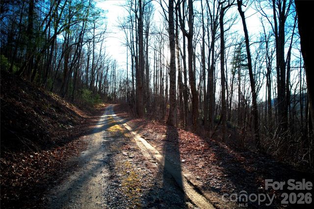 0 Langwood Drive 23, Zirconia, NC 28790