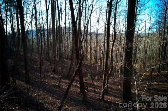 0 Langwood Drive 23, Zirconia, NC 28790