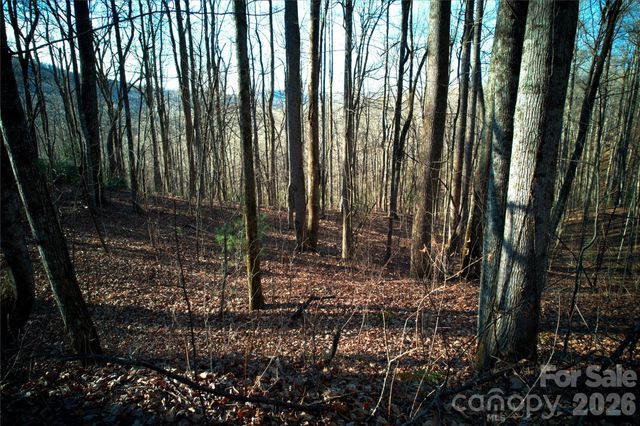 0 Langwood Drive 23, Zirconia, NC 28790