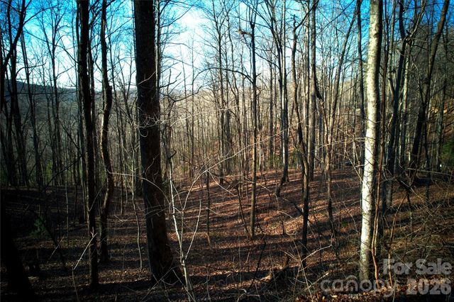 0 Langwood Drive 23, Zirconia, NC 28790