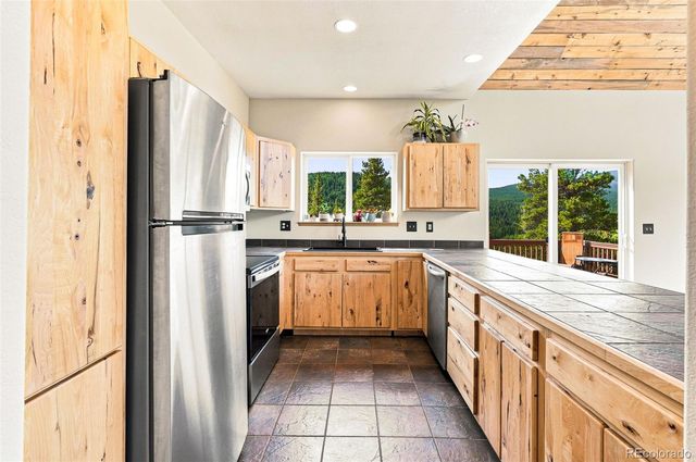 1301 Upper Moon Gulch Road, Rollinsville, CO 80474