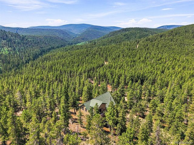 1301 Upper Moon Gulch Road, Rollinsville, CO 80474