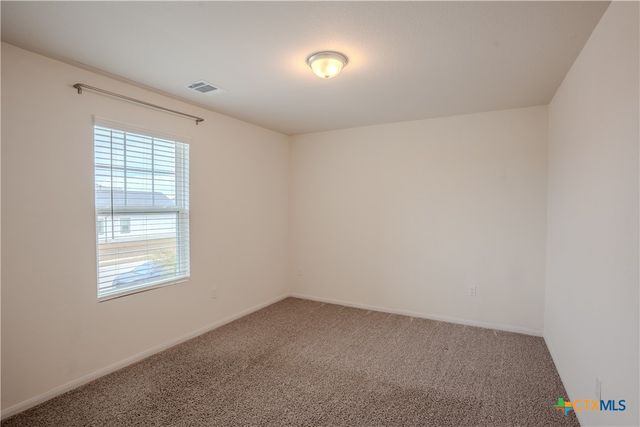 141 Everglades Drive, Kyle, TX 78640