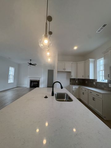 301 Caxton Aly, Nolensville, TN 37135