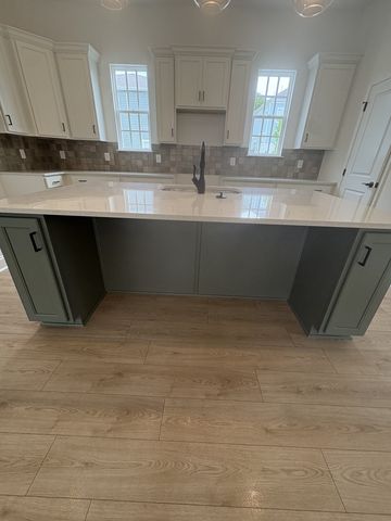 301 Caxton Aly, Nolensville, TN 37135