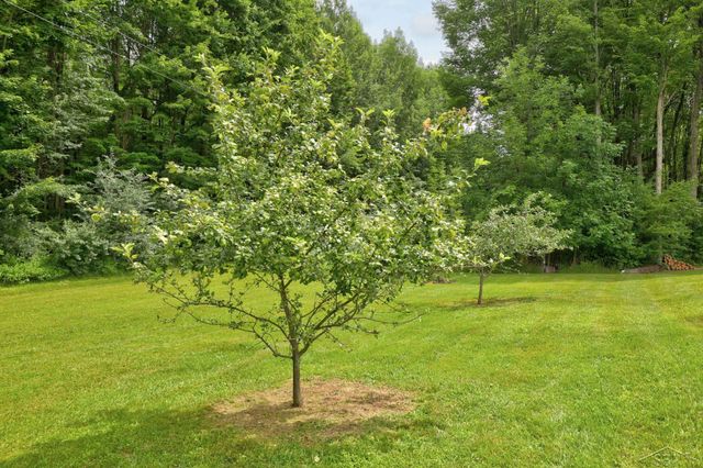 3050 W Sanilac Road, Vassar, MI 48768
