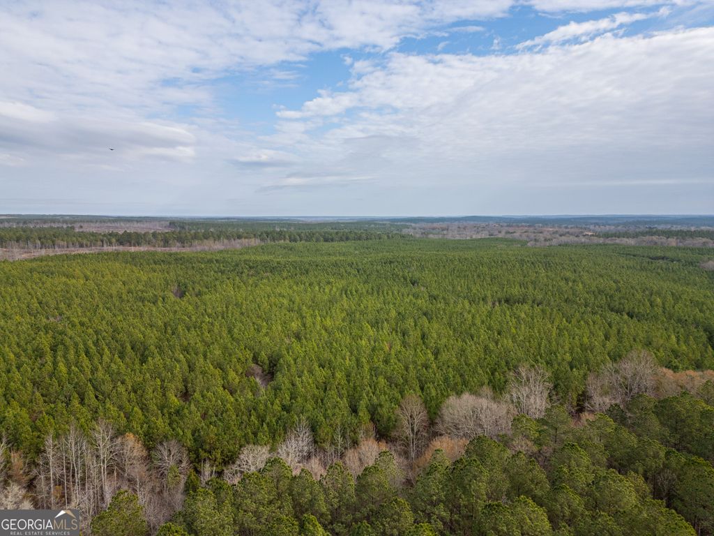 2 Smith Rocky Branch Road, Carlton, GA 30627 — photo 2