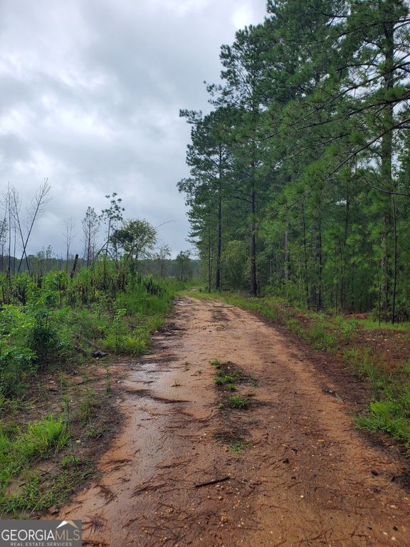 2 Smith Rocky Branch Road, Carlton, GA 30627 — photo 5