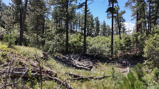 5080 S Perry Park Road, Sedalia, CO 80135