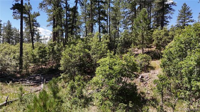 5080 S Perry Park Road, Sedalia, CO 80135