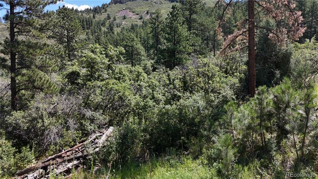 5080 S Perry Park Road, Sedalia, CO 80135