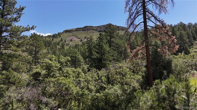 5080 S Perry Park Road, Sedalia, CO 80135