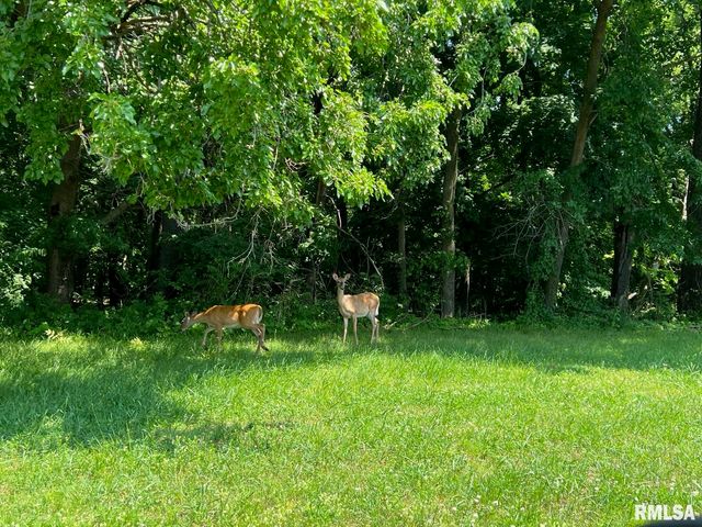 2709 N SPRINGDALE Avenue, Peoria, IL 61603