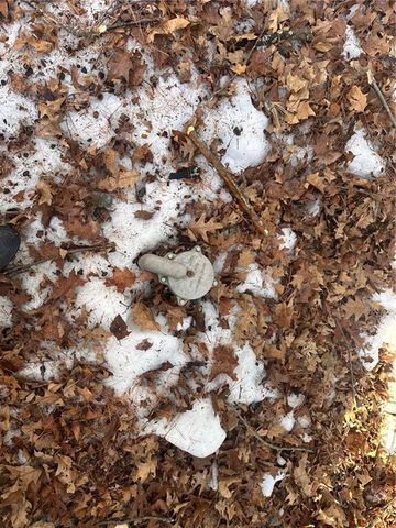 11094 W Tiger Cat Dam Road, Hayward, WI 54843