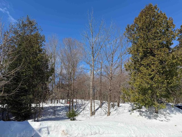 1113 12th Avenue, Houghton, MI 49931