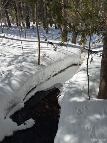 1113 12th Avenue, Houghton, MI 49931