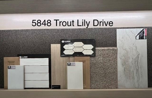 5848 Trout Lily Drive, Montgomery, TX 77316