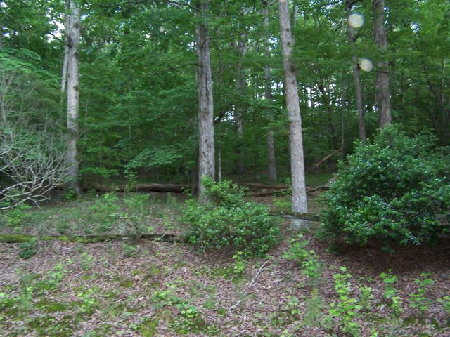 1511 Monroe Green Road, Trion, GA 30753