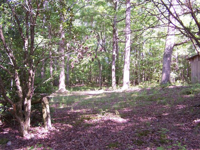 1511 Monroe Green Road, Trion, GA 30753