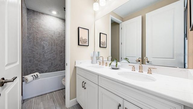 16237 ALPHA GROVE PLACE, Odessa, FL 33556