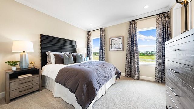 16237 ALPHA GROVE PLACE, Odessa, FL 33556