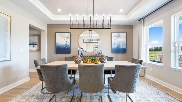 16237 ALPHA GROVE PLACE, Odessa, FL 33556