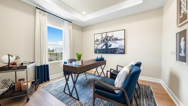 16237 ALPHA GROVE PLACE, Odessa, FL 33556