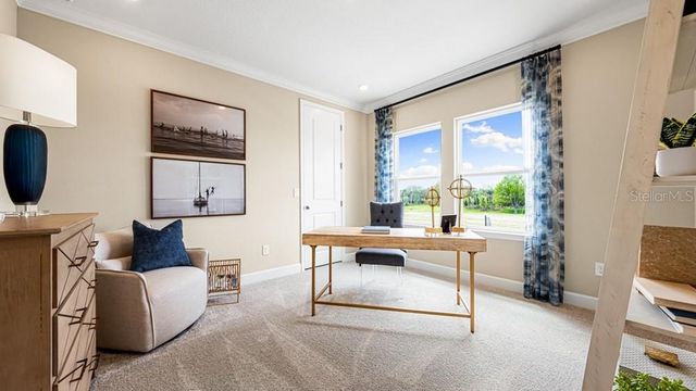 16237 ALPHA GROVE PLACE, Odessa, FL 33556