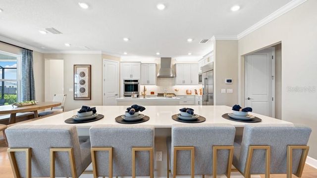 16237 ALPHA GROVE PLACE, Odessa, FL 33556