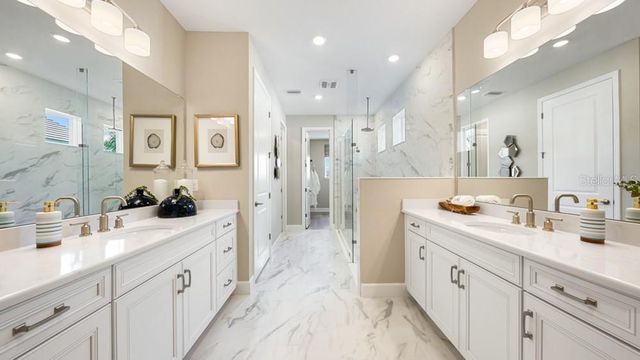 16237 ALPHA GROVE PLACE, Odessa, FL 33556