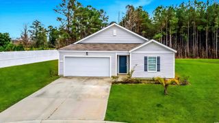519 Grass Fern Ct., Longs, SC 29568