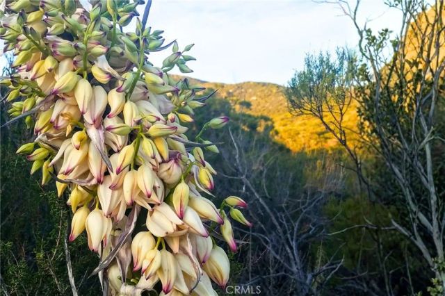 0 Cruces, Warner Springs, CA 92086